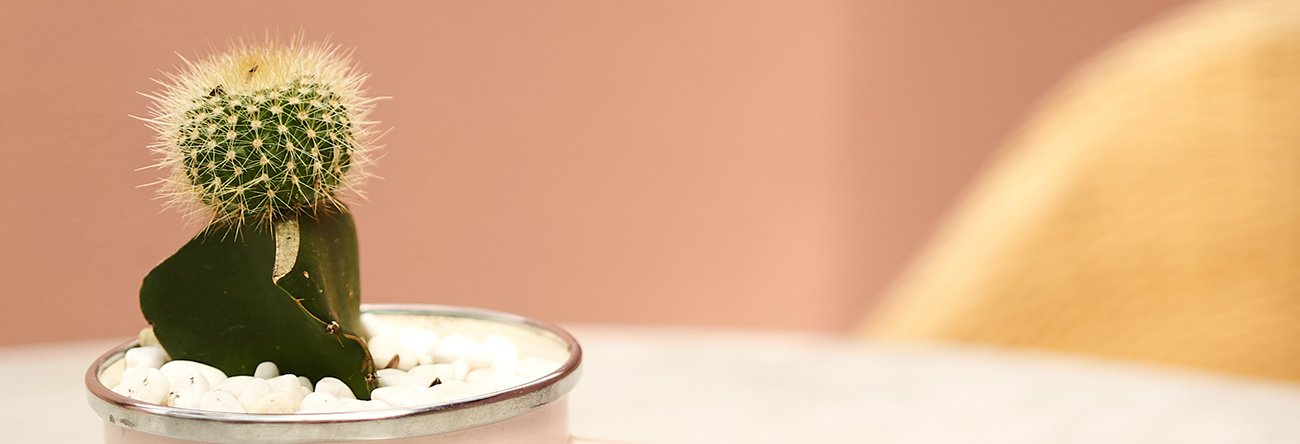 decoration essentials